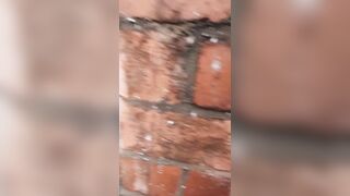 Caught into the shower