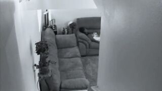 Ebony 19 year old gets abused & face boned by her step