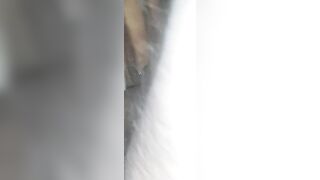 POR FIN ANAL two