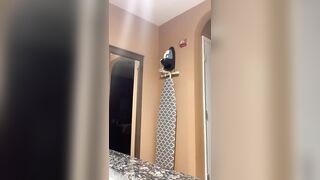Gettin A Quick Screwed And A Nut Into The Wc Thats Wassup!!