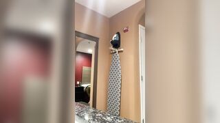 Gettin A Quick Screwed And A Nut Into The Wc Thats Wassup!!