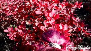Head outdoor, throbbing oral jizzed cum inside mouth (CIM)