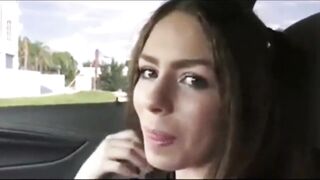 Sex into the vehicle into point of view