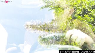 BlackCockLove.com - Young wife cuckolds poor hubby with BBC pounding