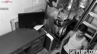 Magic Mike Hung barebacks troublemaker Apollo Fates hard and deep