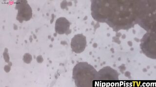 NipponPissTV.com - Japanese schoolgirls pissing and having fun in public openly