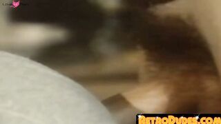 RetroDudes.com - Classic gay porn sucking turns into intense raw fucking