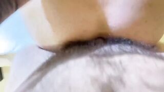 Sodomisee