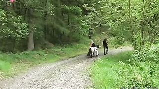 Erected stallion goes in