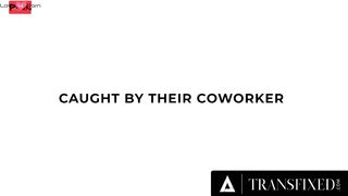 OFFICE EXPORTS three SULTRY SEXPOTS LOCKED INSIDE STEAMY BJSуванням