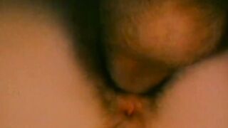 Busty Annette Haven sucks and fucks in hardcore retro porn