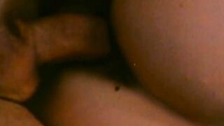 Busty Annette Haven sucks and fucks in hardcore retro porn