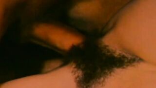 Busty Annette Haven sucks and fucks in hardcore retro porn