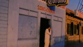 Busty Annette Haven sucks and fucks in hardcore retro porn