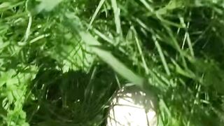 Sues Sizzling Concealed Toy Vixen Exposed into Scorching Garden Romp!