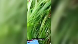 Jungle me Mungle fucking viral fb clip