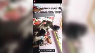 Cute Young Village Cousin Sister Sucking Cousin Dick and Fucking viral desi sex (2)