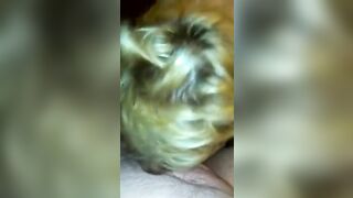 Sex with SSBBW