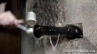 PERVERSE FAMILY Anal Study