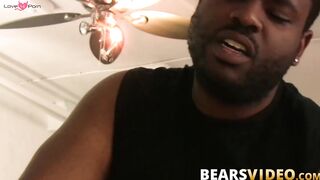 Chubby bear Jason Roman blows BBC before bareback doggystyle