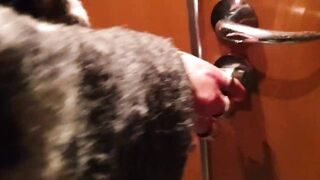 Auf der Zug Toilette eine Traperin gefickt