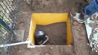 When a sub needs firm correction BONDAGE Fetish Buried Alive