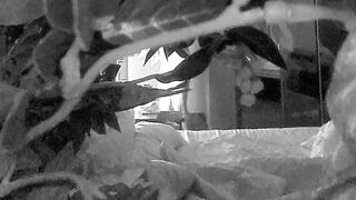 Wifey masturbating and taking selfies on HC