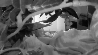 Wifey masturbating and taking selfies on HC