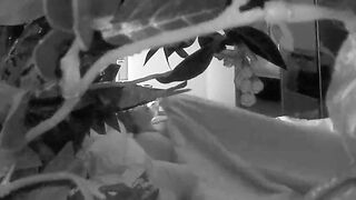 Wifey masturbating and taking selfies on HC