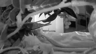 Wifey masturbating and taking selfies on HC