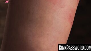 Brooklyn Grays pussy succumbs to orgasm from fingering and sex toy