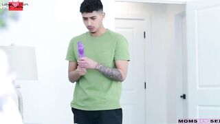 Step Mom's Secret Stash #2 (Stepdad Find Out) Featuring Diego Siera And Whitney Westgate