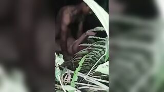 Jungle sex