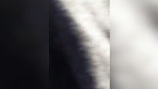 Vehicle cum inside
