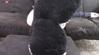 Fuzzy Socks Ignore And Tease