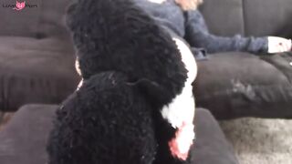 Fuzzy Socks Ignore And Tease