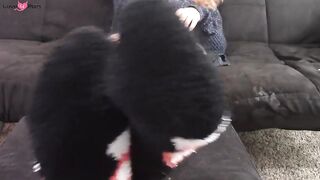 Fuzzy Socks Ignore And Tease