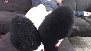 Fuzzy Socks Ignore And Tease