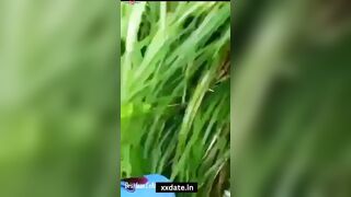 Viral FB Clip - Hot Brunette Teen Babe Gets Wild In The Jungles Of Thailand