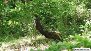 Fairy-Tale Forest Adventure - Magical Woodland Elf Enchantment with Fairies