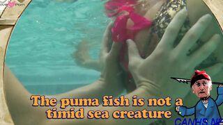 Pussy Playtime with Blond Bomb Shell - Pornstar Legend PUMA SWEDEN