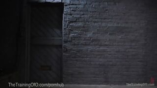 Bad bimbos en Anal