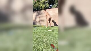 Adventurous Outdoor Sexcapades with Hot Babe Adrianne Chechick
