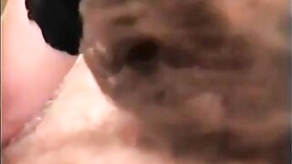 BBW Chubby Teen's Ass Gets Stretched by Huge Dildo in Hardcore Masturbation