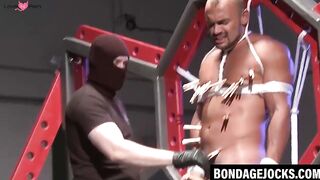 BDSM Bondage Slut Submissive Girl Faceslapped And Clamped By Dominant Stud