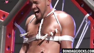 BDSM Bondage Slut Submissive Girl Faceslapped And Clamped By Dominant Stud