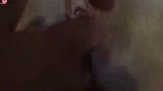 Amateur Asian Creampie Doggy Style