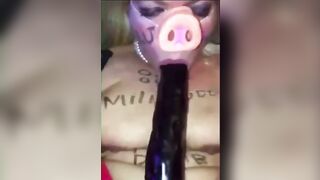 RANDOM CRAZY FAT BANGED PIGS COMPILATION