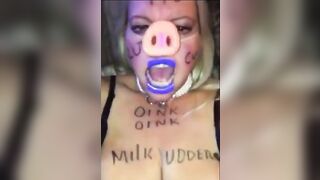 RANDOM CRAZY FAT BANGED PIGS COMPILATION