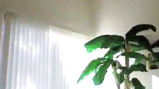 Perverted Gay Neighbor Caught on Webcam